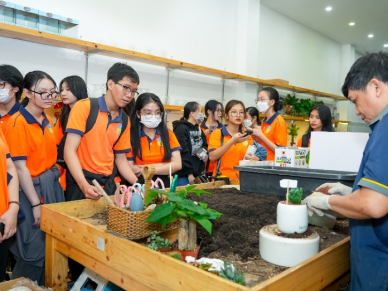 sinh viên thương mại điện tử